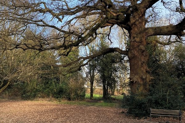 Image for Spooky Cranford Park