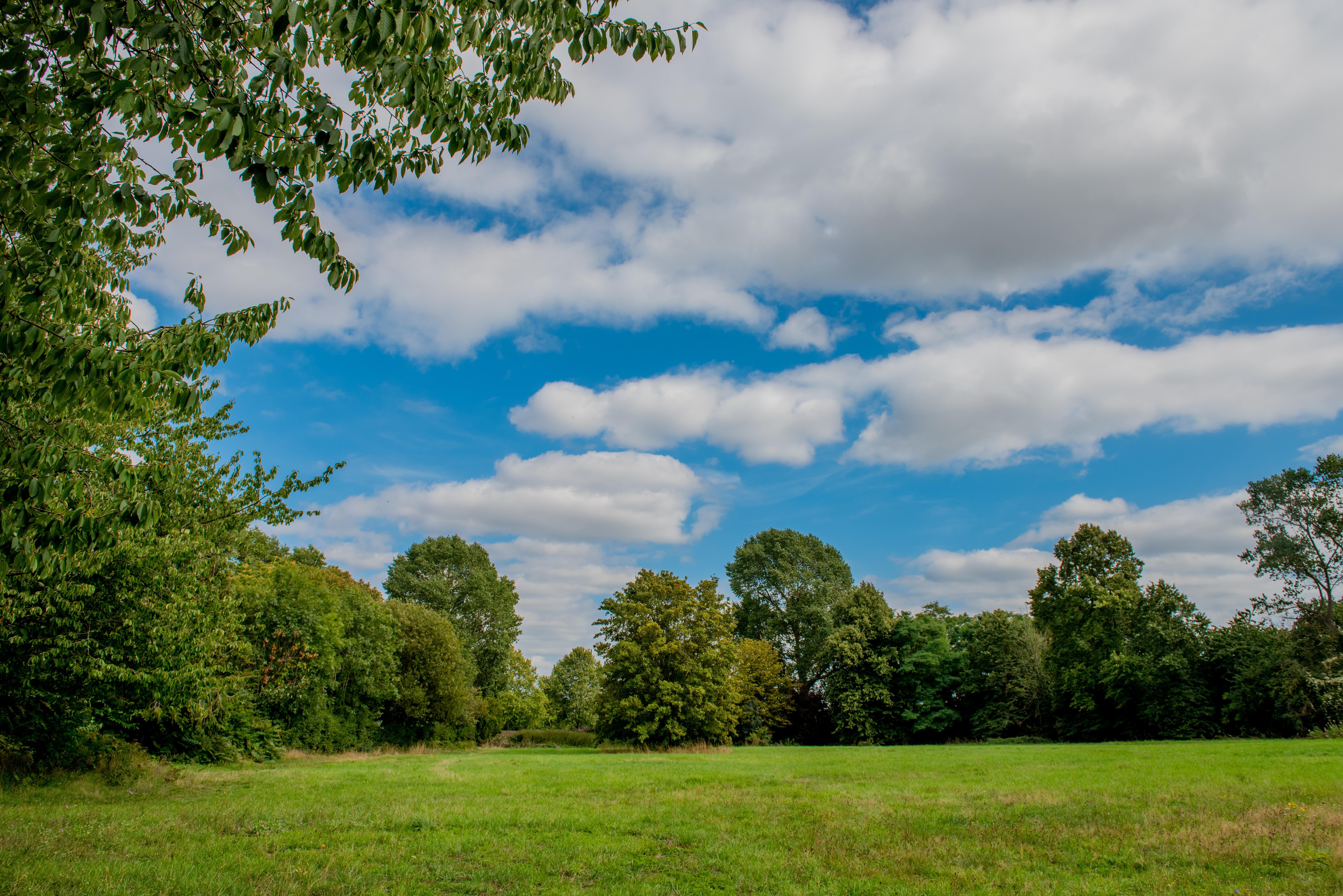 Image for Led Walk: West Drayton