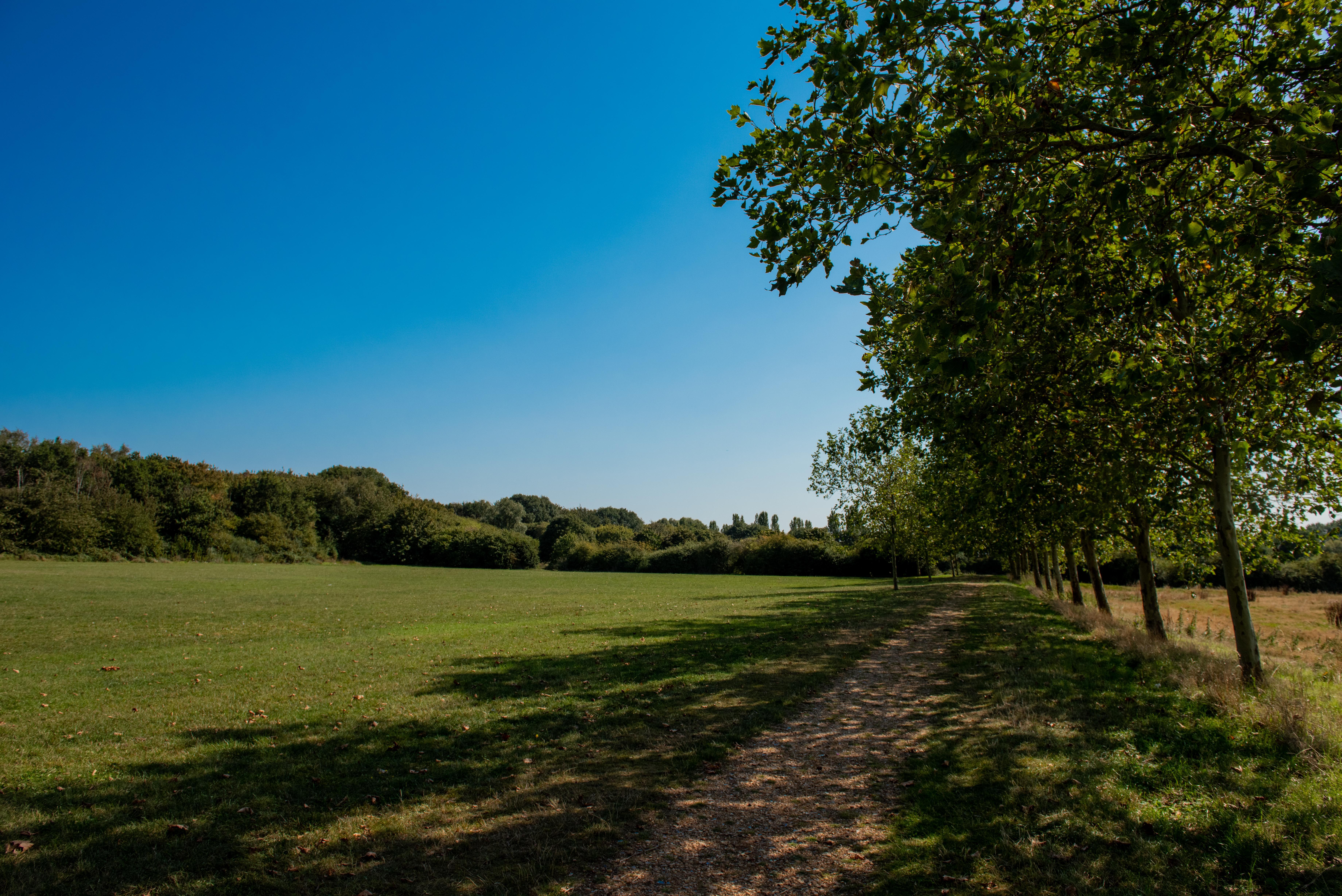 Image for Led Walk: Stockley Park, Hillingdon