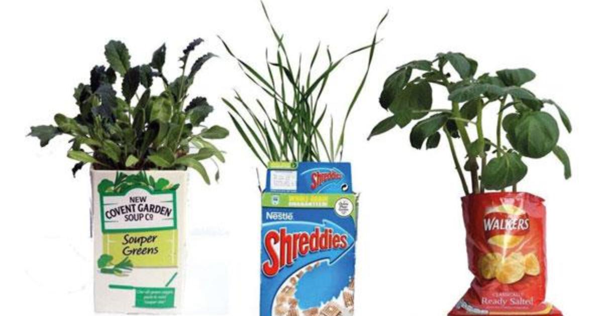 Shelf Life with Herbs Discover Hillingdon