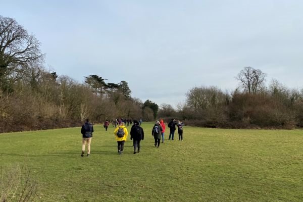 Image for Winter Walks: Cranford Park