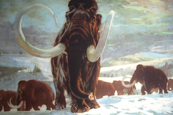 Image representing Prehistoric Past