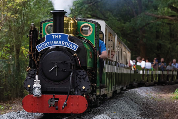 Image representing Ruislip Lido Railway: Steam Gala