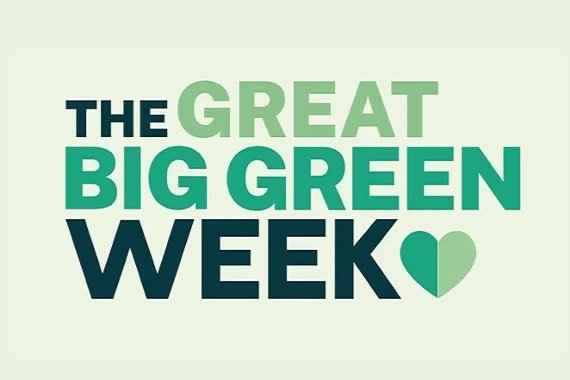Image representing Big Green Week: Nature Zine Workshop