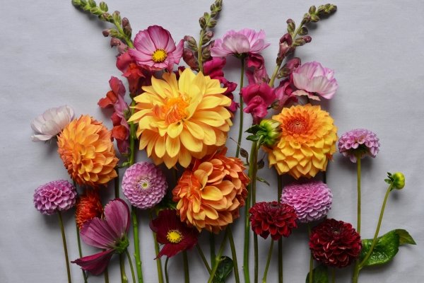 Image for Create a Flower Arrangement