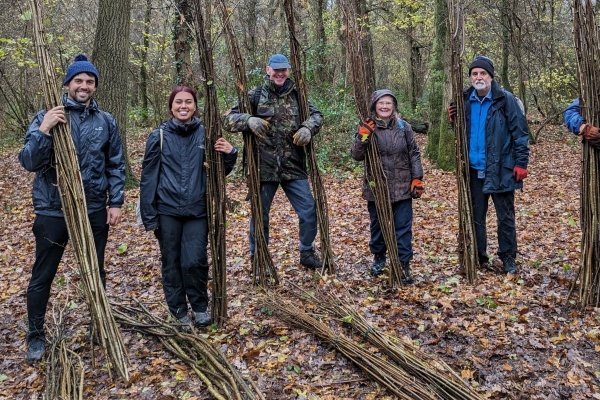 Image for Coppicing in Gutteridge Wood