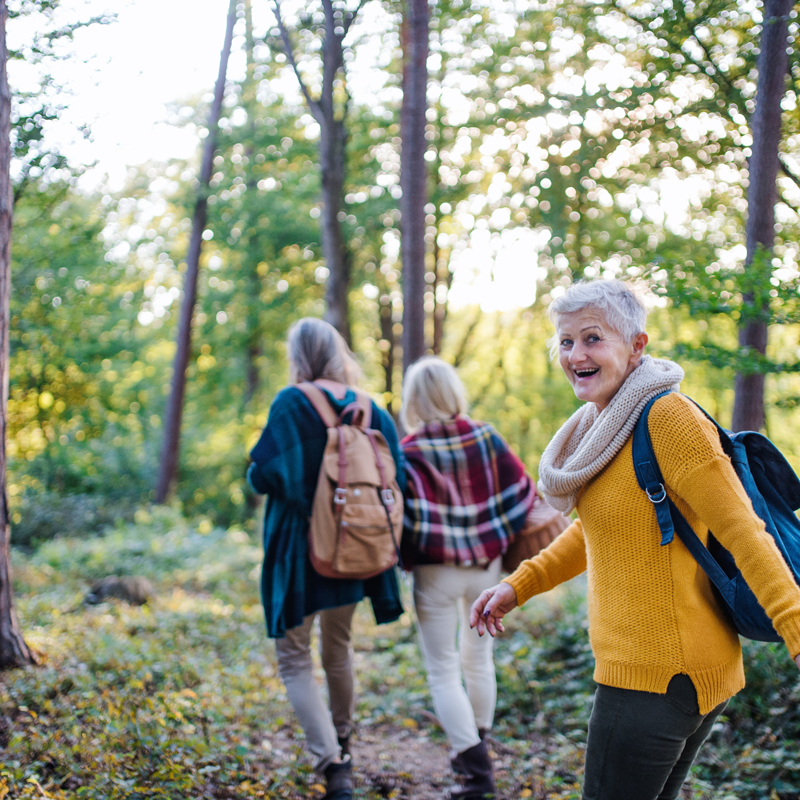 Image for Nature Walk in the Woods