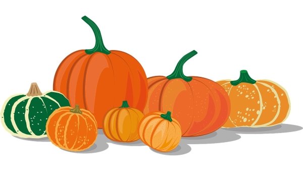 Image for  Sow and Grow Kids - Spooky Pumpkins