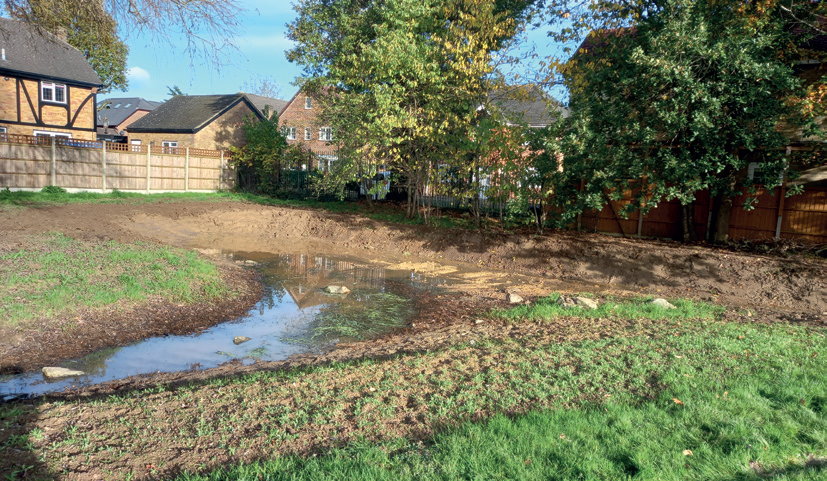 Image for Hillingdon Court Park Community Planting Day