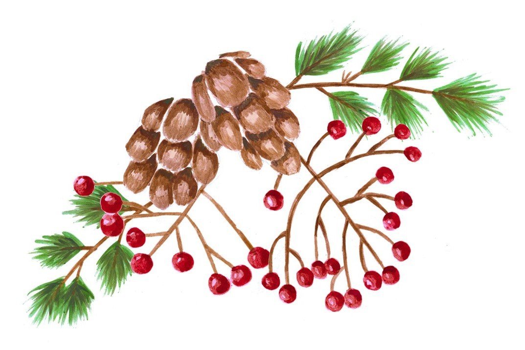 Image for Sow and Grow Christmas Decorations