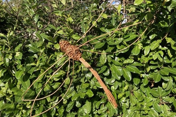 Image representing Willow Sculptures: Eastcote House Gardens