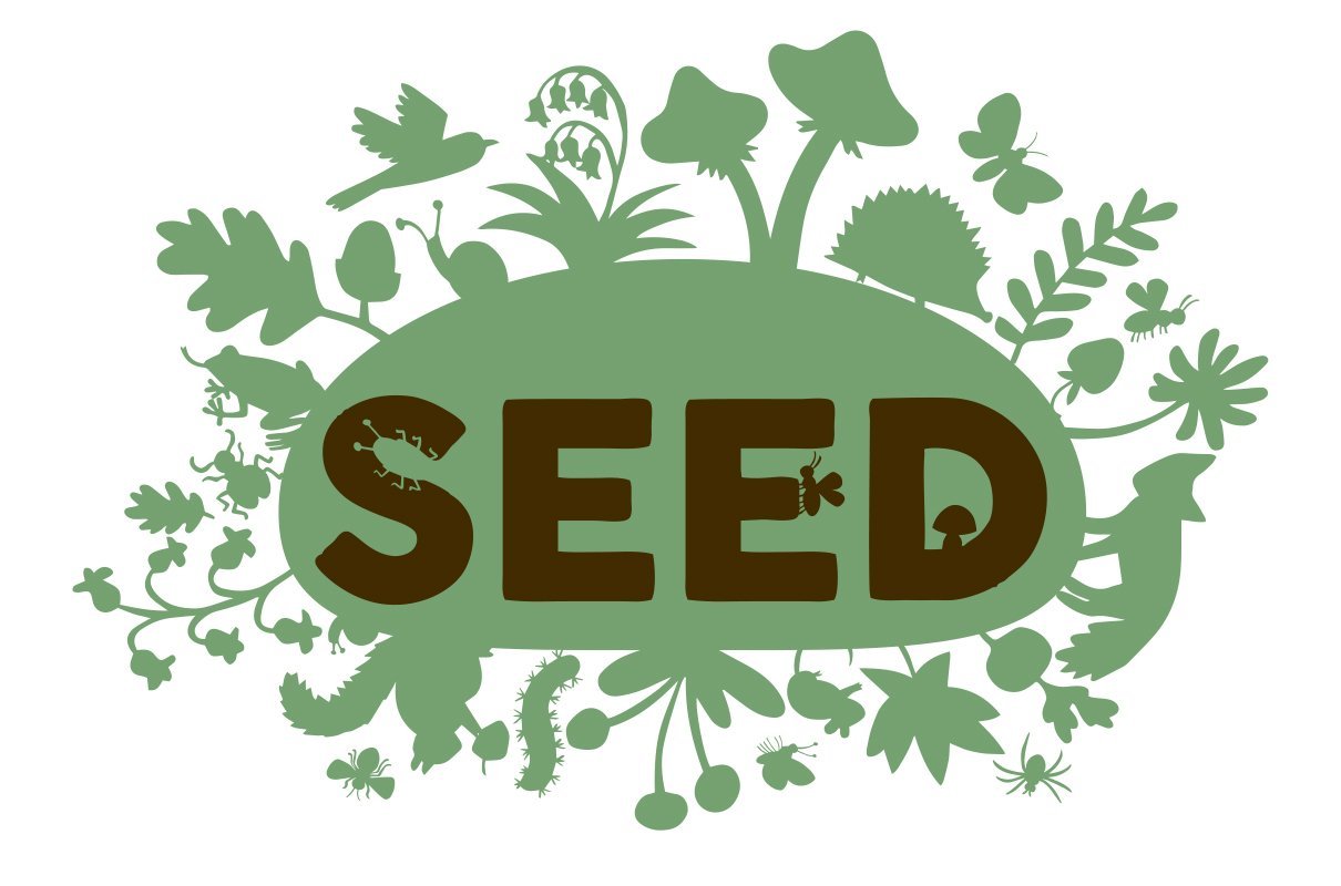 Image for SEED by Made by Katie Green, Interactive Dance performance