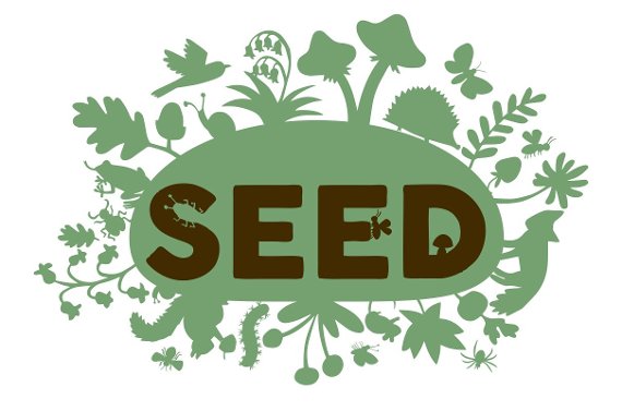 Image representing SEED by Made by Katie Green, Interactive Dance performance