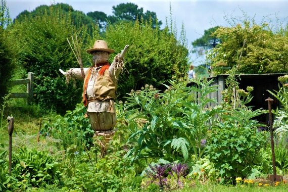 Image representing Crafty Creators: Scarecrow Wedding