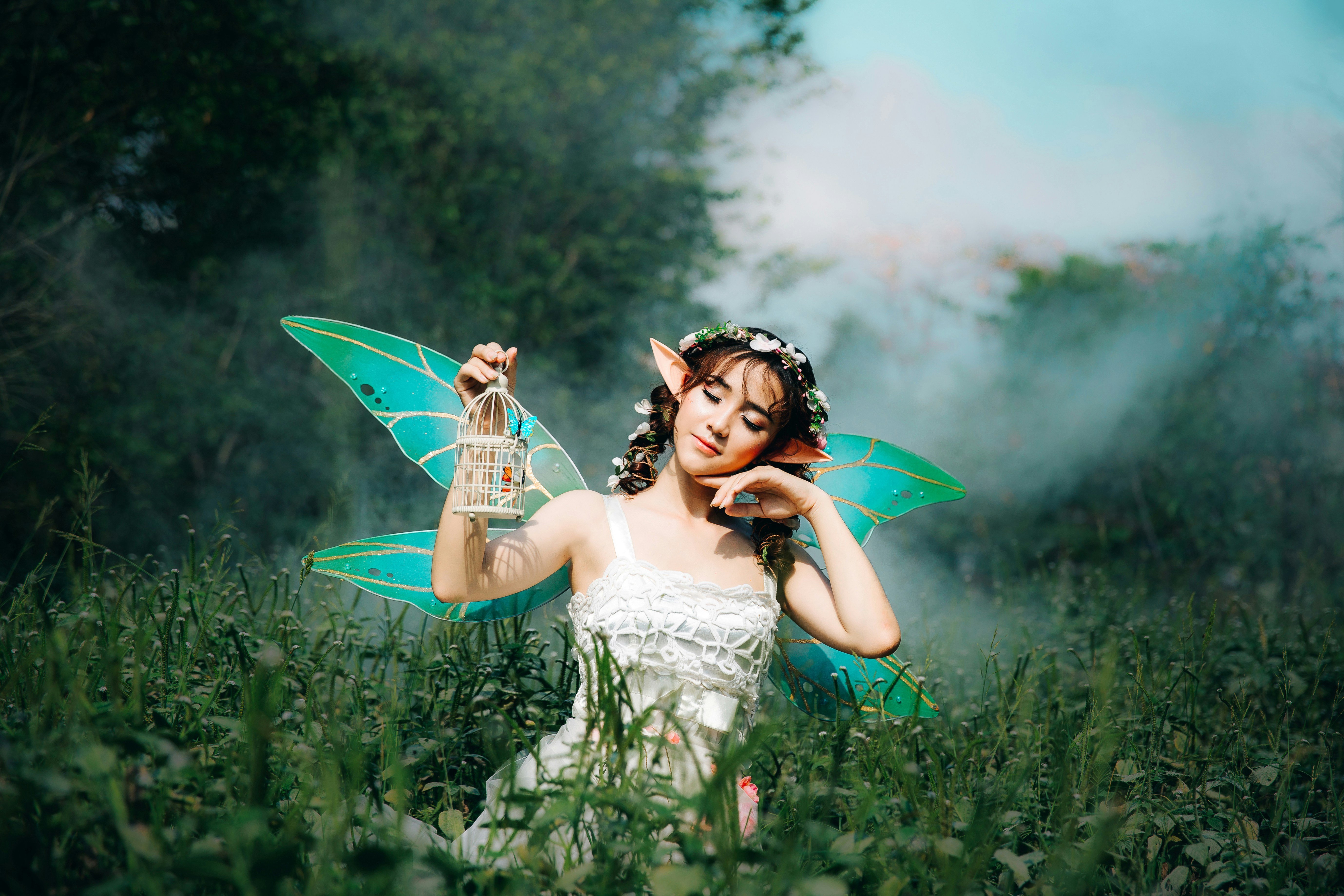 Image for Crafty Creators: Fairy Fun with Daisy Meadows