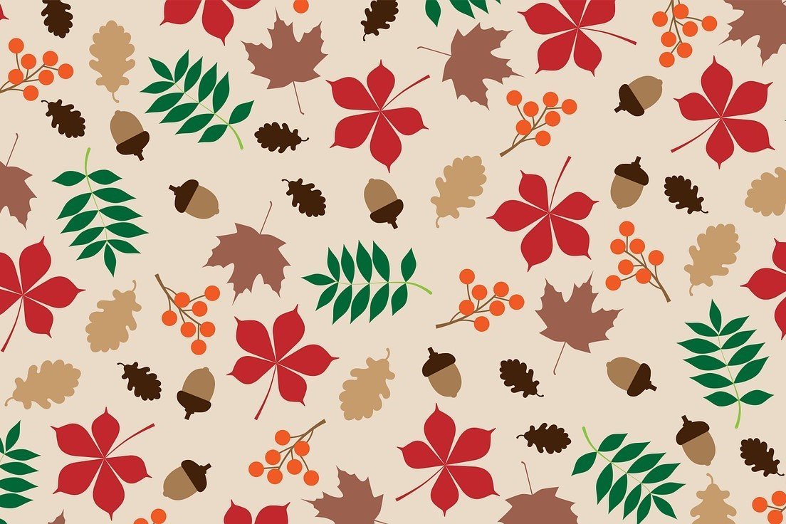 Image for Autumn Facts and Craft