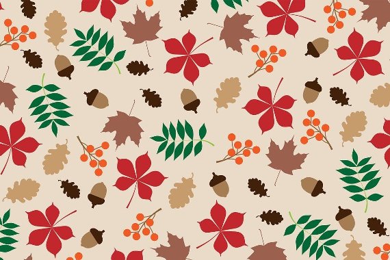 Image representing Autumn Facts and Craft