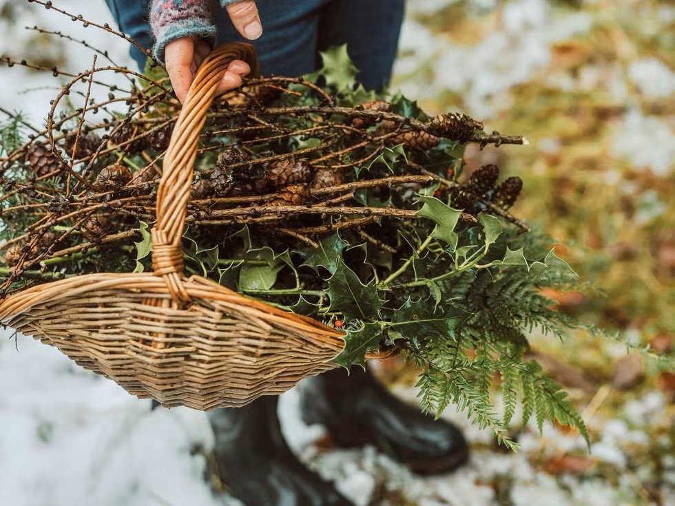 Image for Family foraging at the Bunker
