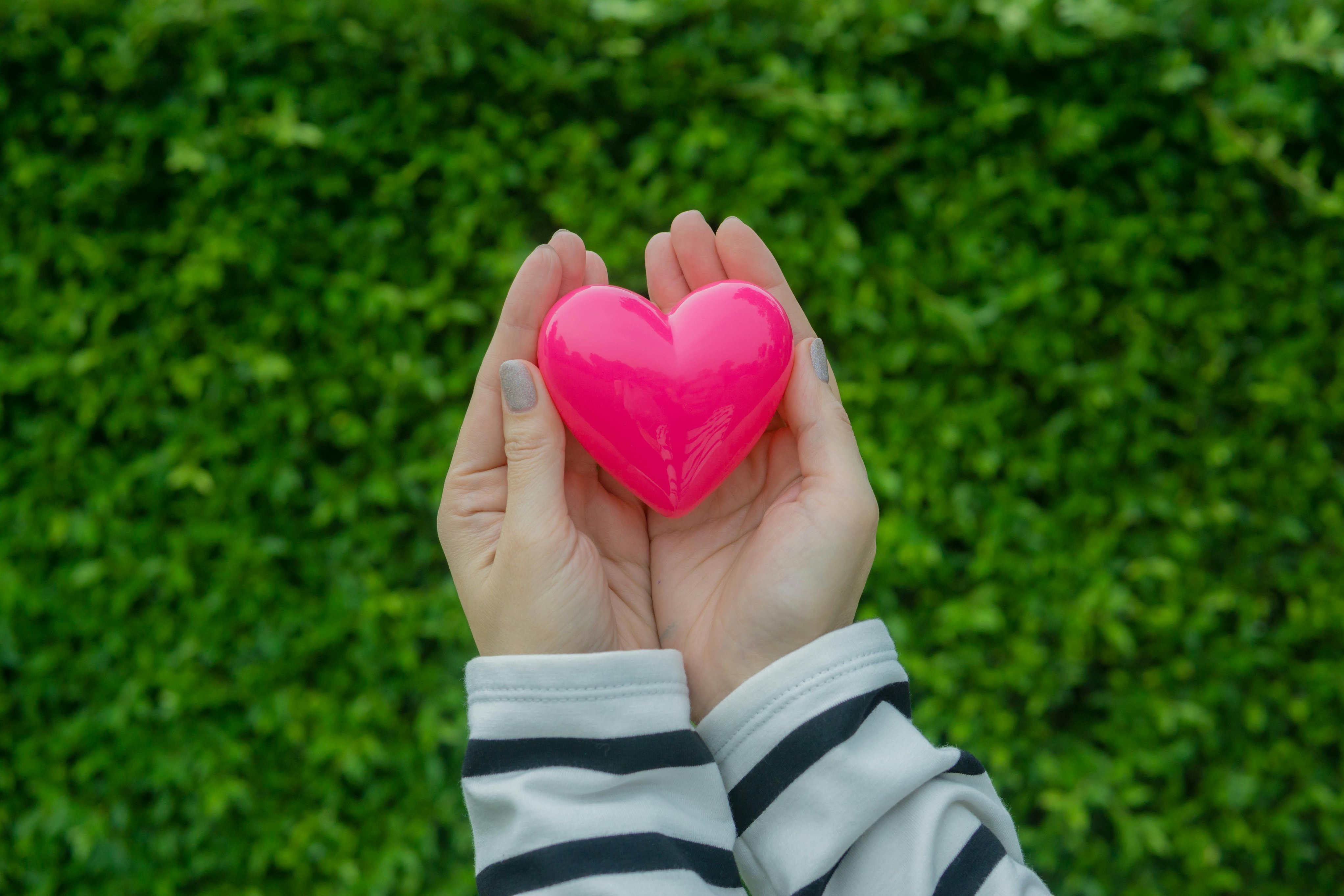 Image for Heart Month: Hypertension and Cholesterol Workshop at Ruislip Manor Library