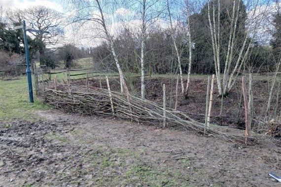 Image representing Minet Park Green Skills Volunteers