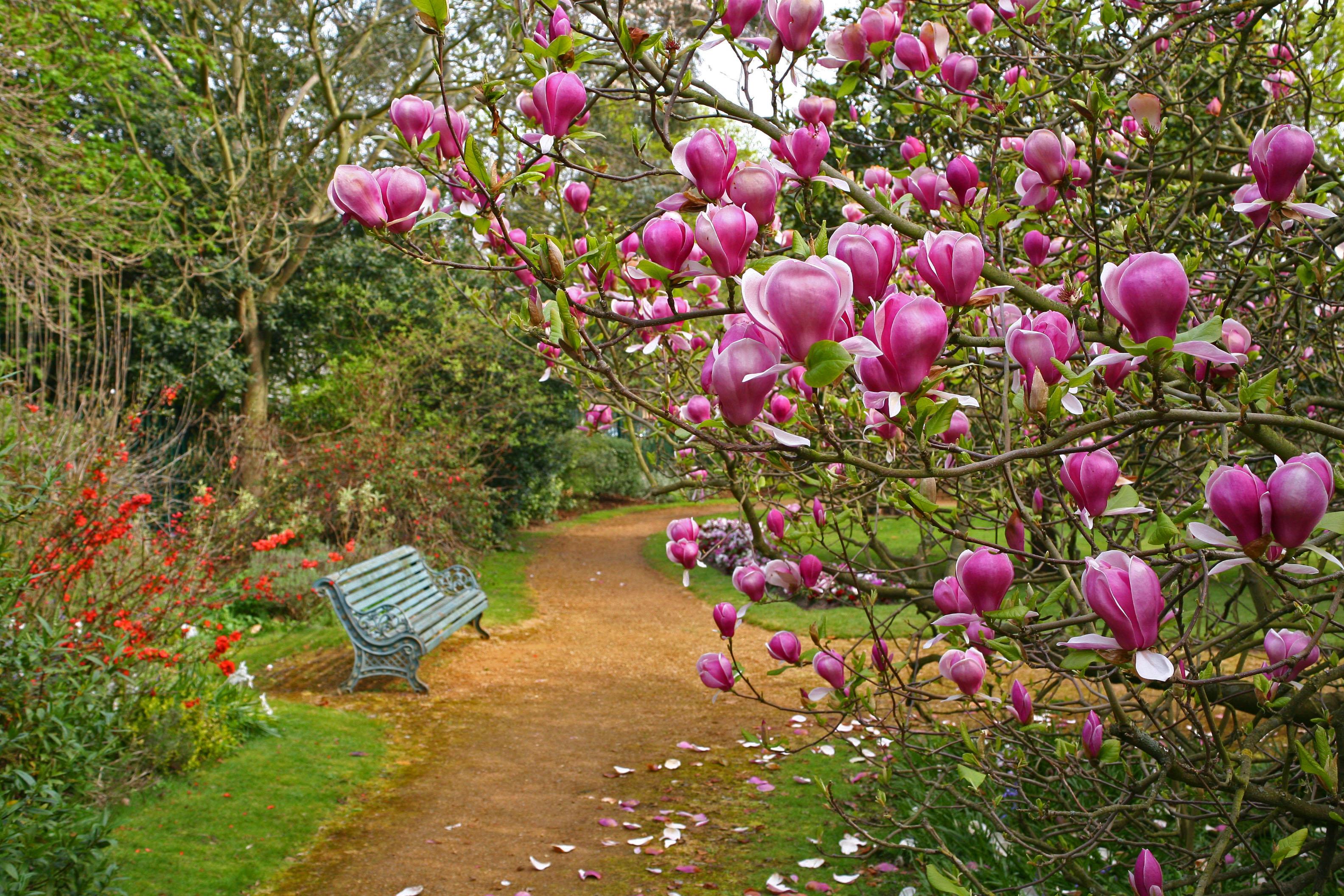 Image for Led Walk: Norman Leddy Gardens, Hayes