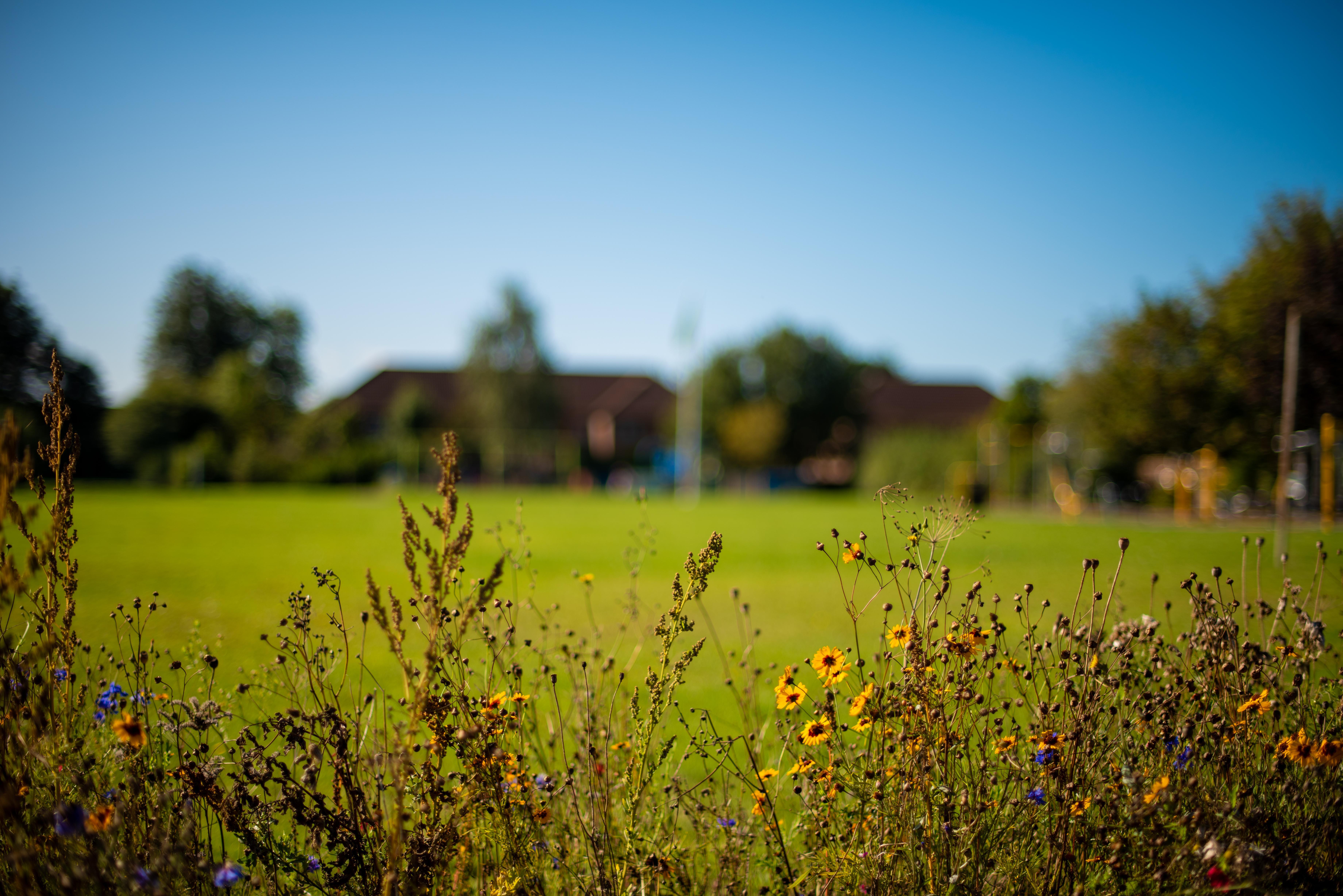 Image for Led Walk (Short): Yeading