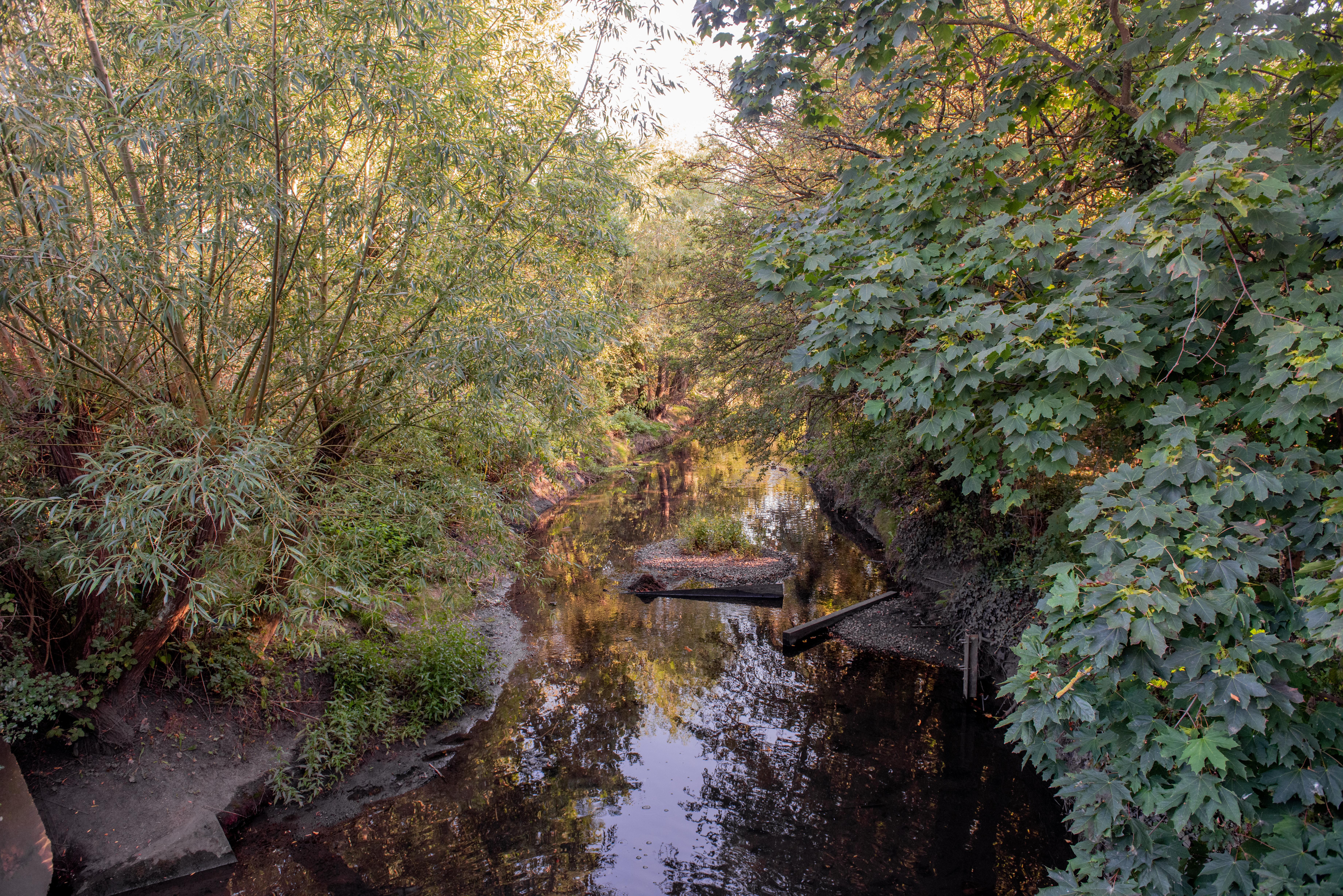 Image for Led Walk: Yeading