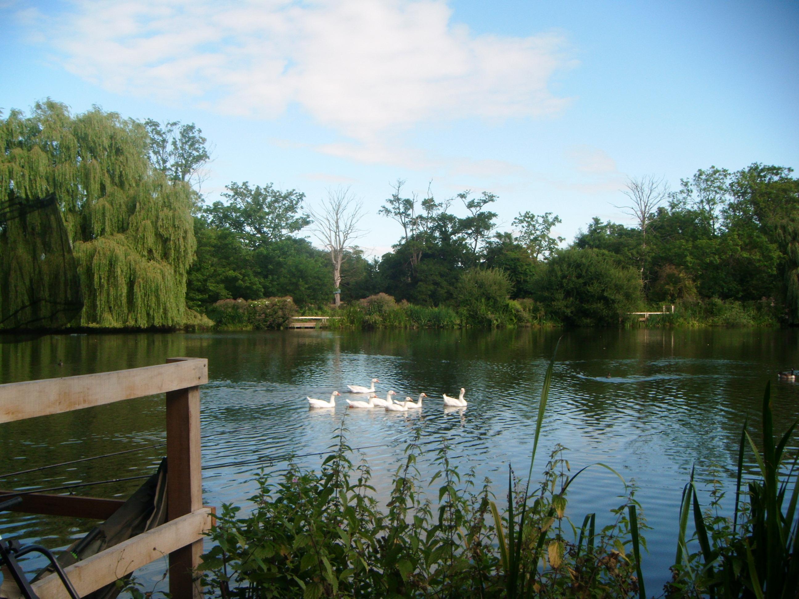 Image for Led Walk: Little Britain Lake, Cowley