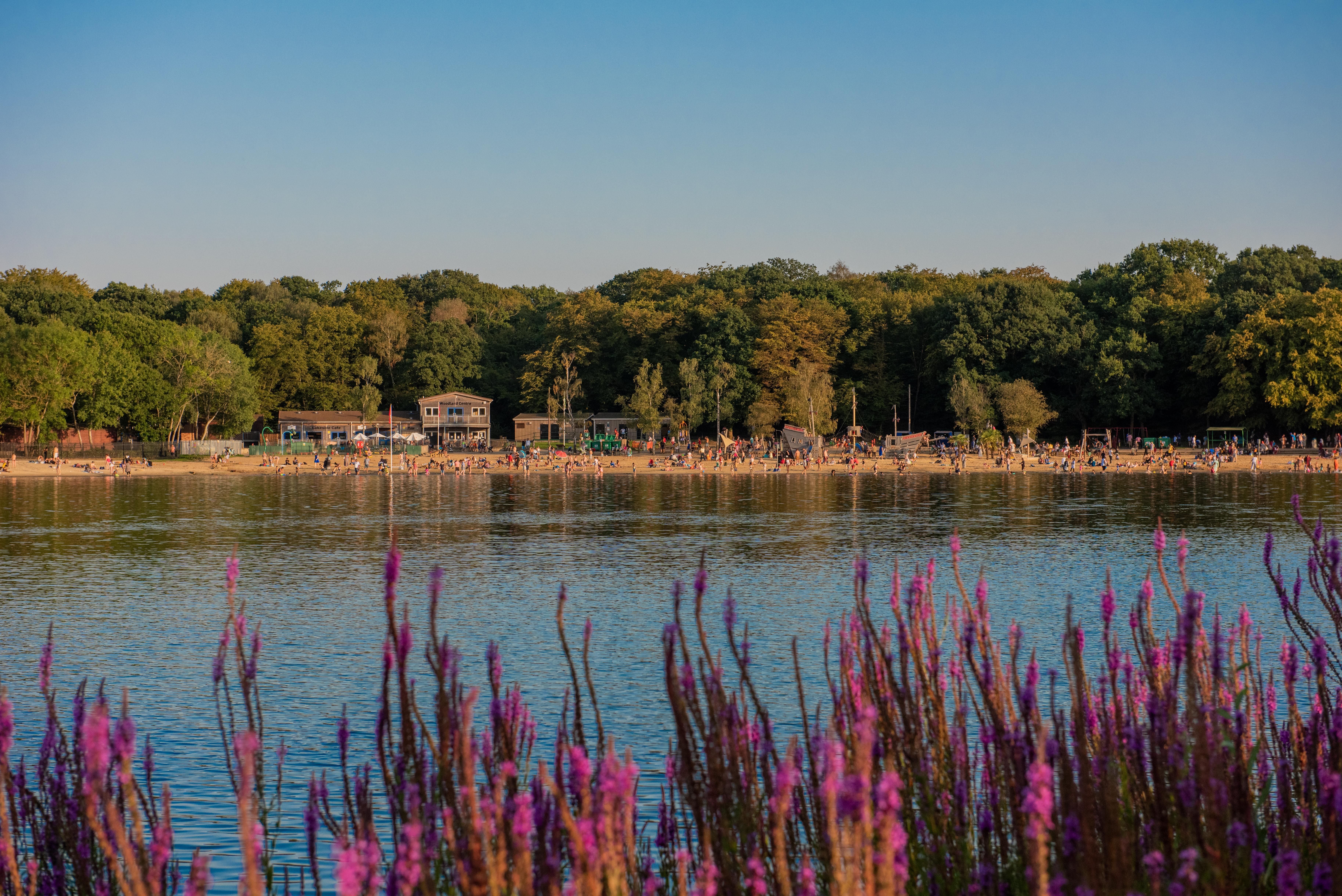 Image for Led Walk: Ruislip Lido and Woods